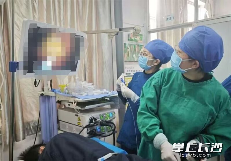 湖南省人民医院医护人员为患者实施内镜下碎石术，清除胃中鸡蛋大的胃结石。 长沙晚报通讯员 陈静 胡薇华 供图