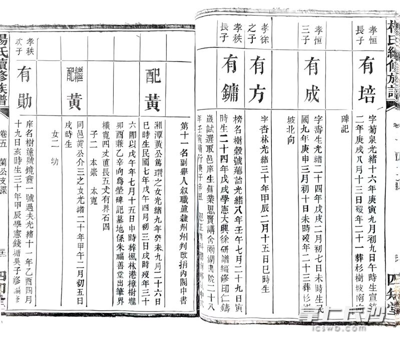 杨树达曾孙杨柳岸发现：杨树达在家谱中名有勋。杨伯勋名叫本崇，在家中则叫德崇。
