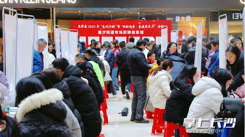 长沙县“春风行动”把岗位送到群众家门口。 长沙晚报通讯员 宋彬彬 供图