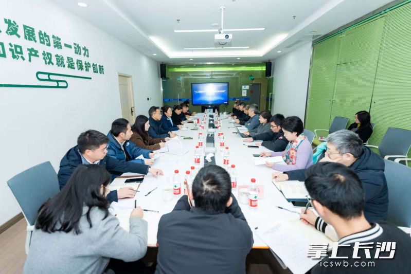 市政协召开“人工智能时代的知识产权创新与保护”交流座谈会。 通讯员供图