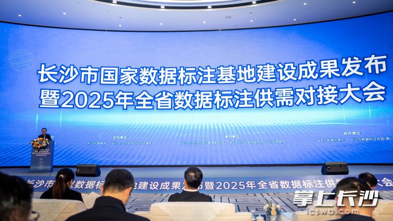 会议现场。 长沙晚报全媒体记者 匡小娟 摄