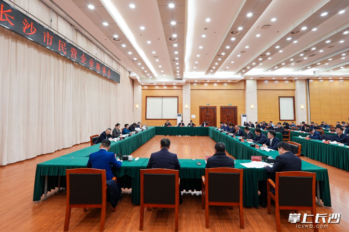 2月26日，长沙市举行民营企业座谈会。长沙晚报全媒体记者 郭雨滴 摄