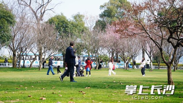 今日，久违的阳光回到了星城长沙上空。 均为长沙晚报全媒体记者舒元臻摄