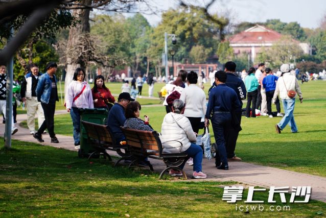 满城出游踏青、结伴撒欢。