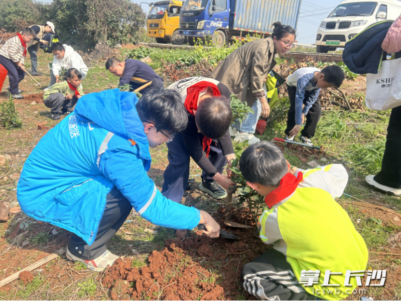植树现场。长沙晚报通讯员 彭静 供图