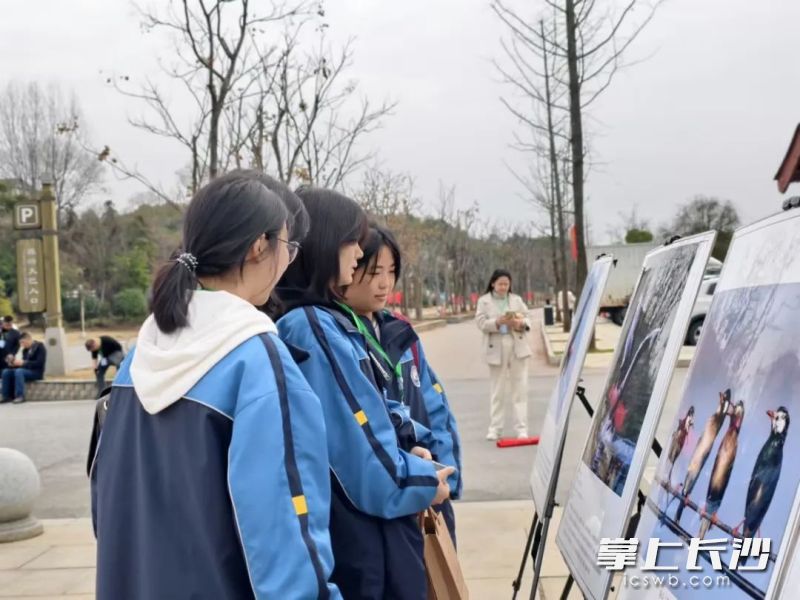 活动将生态教育与人文熏陶深度融合，为学生们带来了一场难忘的学习体验。长沙晚报通讯员 钟玉婷 摄
