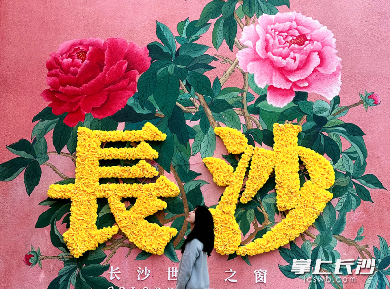 长沙世界之窗花样浪漫等你来打卡。 均为长沙晚报全媒体记者贺文兵摄