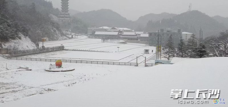 3月7日，大围山雪景。均为受访者供图