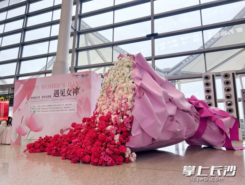 3月8日，在长沙机场内，巨型玫瑰花墙引得众多旅客纷纷驻足拍照打卡。 均为全媒体记者 吴鑫矾 通讯员 王郁 周娟 摄 