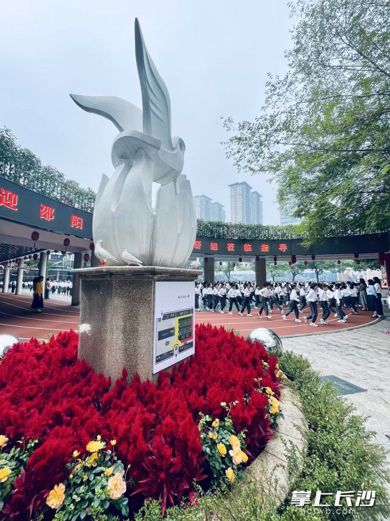生机盎然的砂小校园。