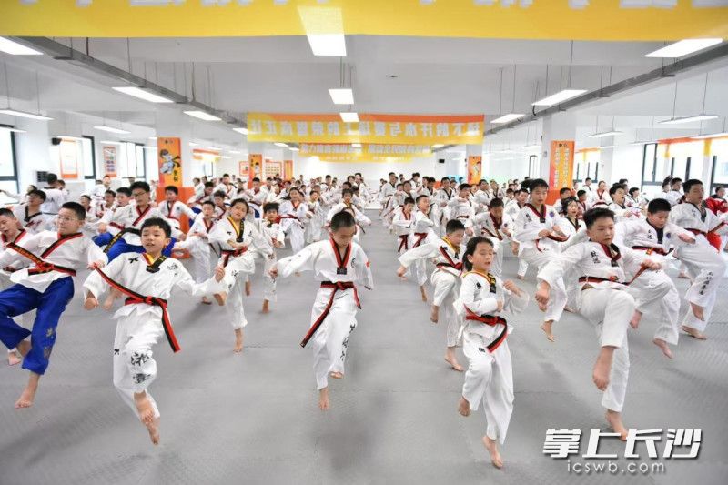 集美娃在600平专业跆拳道馆内训练，一踢一扫间，尽显少年英姿。长沙晚报通讯员 熊天薇 摄