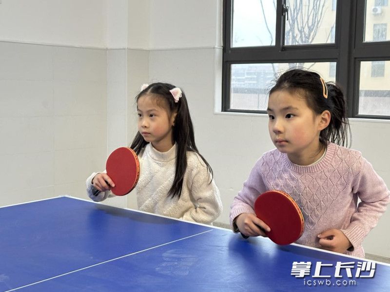 砂子塘都会小学乒乓球社团，孩子们利用课后时间提升球技、锻炼体能。 长沙晚报通讯员 夏妙童 摄