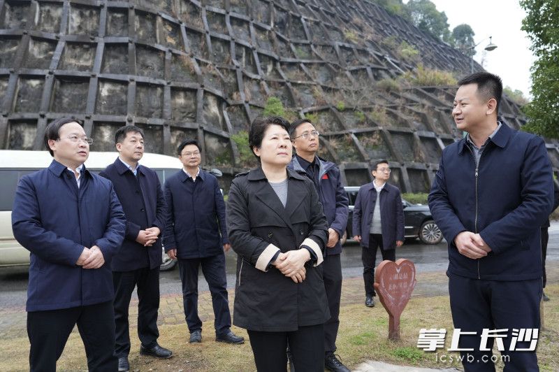 浏阳市柏加镇仙湖村调研现场。 均为长沙晚报全媒体记者郭雨滴摄