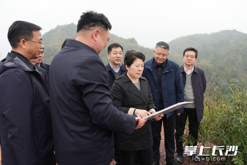 3月10日，省委常委、市委书记吴桂英调研长株潭一体化工作，在三界碑实地考察。