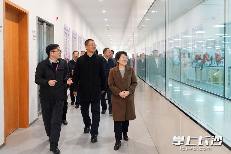 紫光智能制造（岳阳）ICT设备制造基地项目。