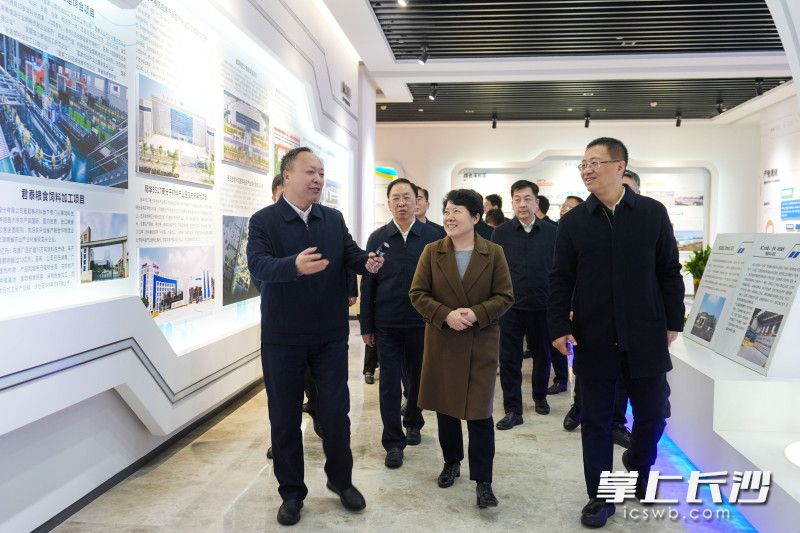 城陵矶新港区规划展厅。