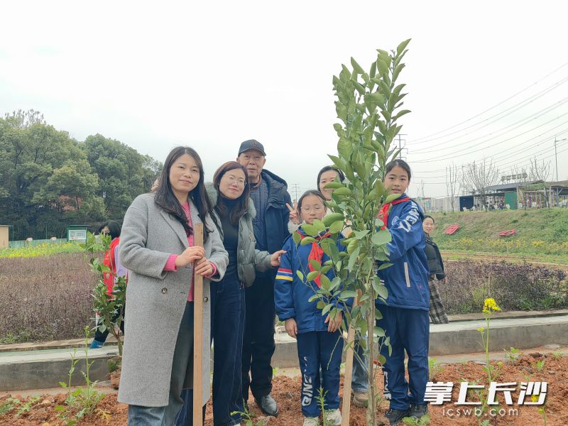 在“五老”志愿者指导下,小树苗种好啦。 在“五老”志愿者指导下,小树苗种好啦。