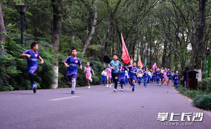 学生在湖南省植物园开展定向越野跑。照片均由学校提供