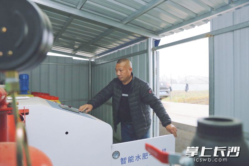 蔬菜大棚里的智能水肥一体化机房。 蔬菜大棚里的智能水肥一体化机房。