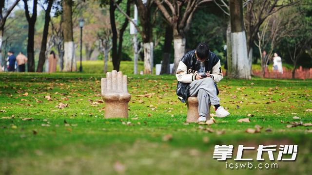 不少市民走出家门来到户外，欣赏春日美景，感受春意盎然。  均为长沙晚报全媒体记者舒元臻摄