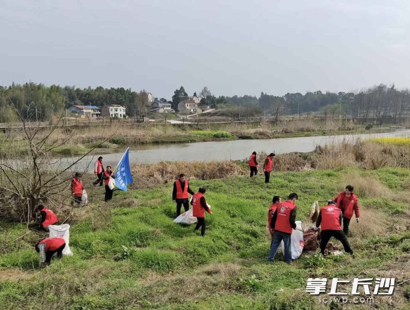 在楚江之畔，老粮仓镇环保志愿者协会的志愿者们正在清理陈年垃圾。