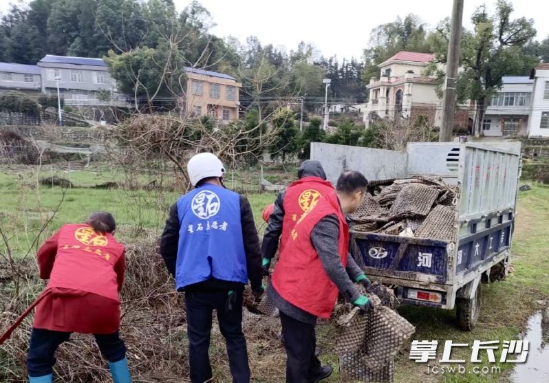 志愿者们在田间清理农业生产垃圾。