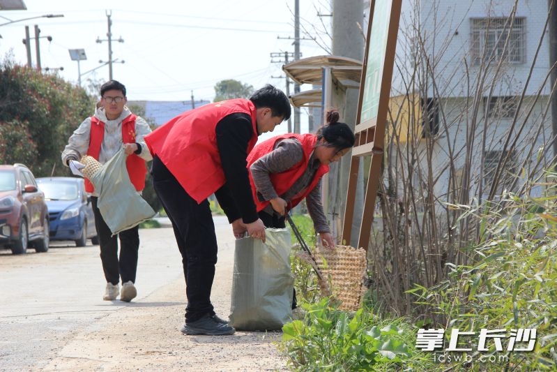 3月18日，在老粮仓镇，志愿者们正在对乡道沿线、田地旁的垃圾进行清理。  均为长沙晚报全媒体记者张禹，通讯员段华良、贺林摄