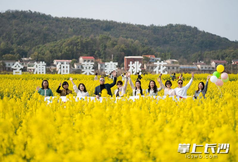 游客们在油菜花田里打卡拍照，享受美好时光。 均为长沙晚报全媒体记者邹麟摄