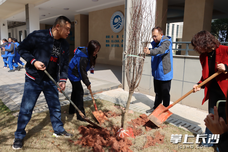 共同栽下了一株株希望之苗。