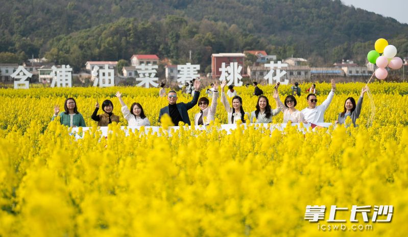 含浦的万亩油菜花吸引了众多游客打卡。 长沙晚报全媒体记者 邹麟 摄