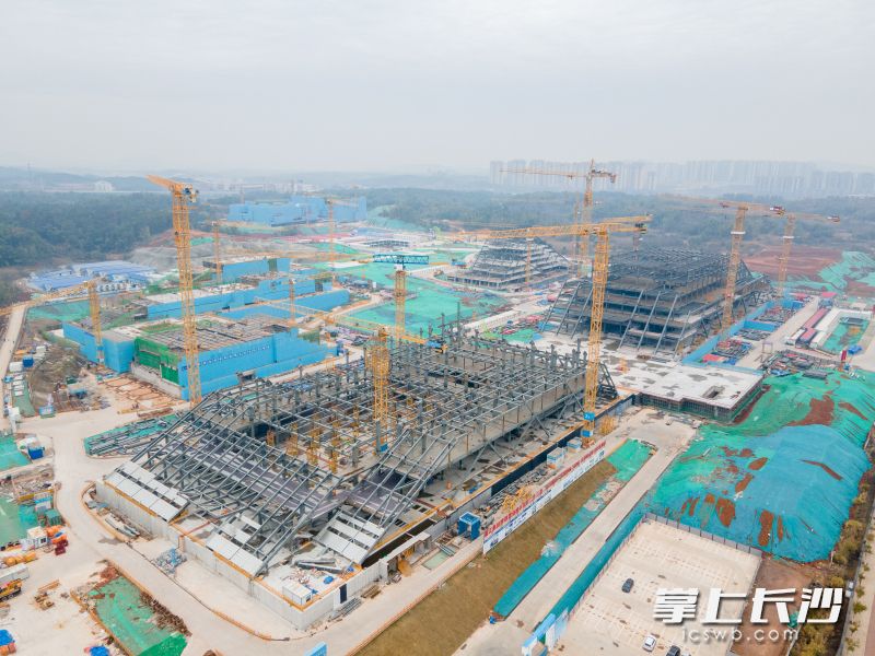 湘江科学城首开区在建项目建设进度条正不断刷新。 长沙晚报通讯员 范龙贵 摄