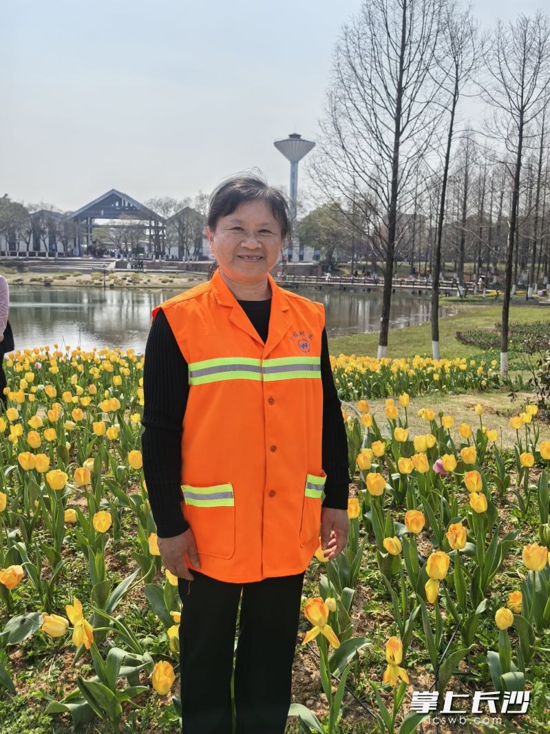 郁金香花海里，环卫工大姐拍张靓照美美哒。 均为长沙晚报通讯员袁佳乐摄