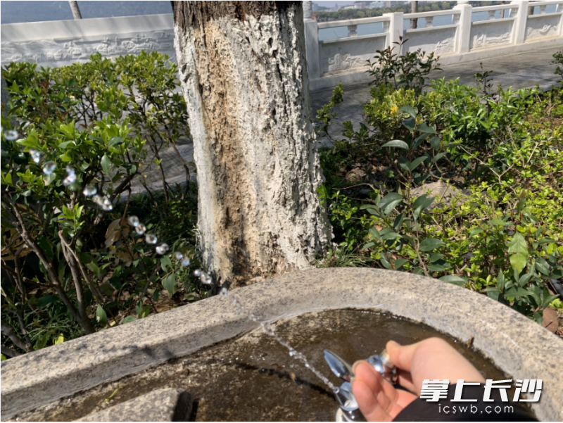 风光带上的直饮水泵可以正常使用了。 长沙晚报全媒体记者 邓艳红 摄