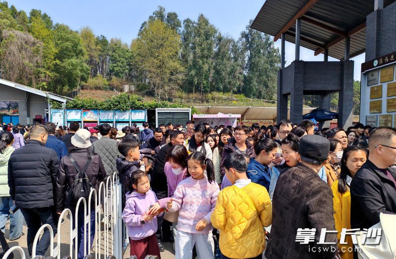 上周日，不少没有预约成功的市民无法入园。