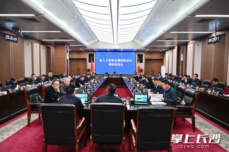 调研座谈会现场。 长沙晚报通讯员 张圣贺 摄