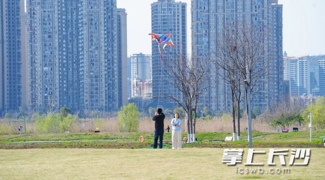 忙趁东风放纸鸢。  长沙晚报全媒体记者 舒元臻 摄