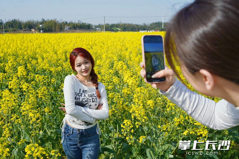 茶亭花海里，任何角度任何地方都能出片。