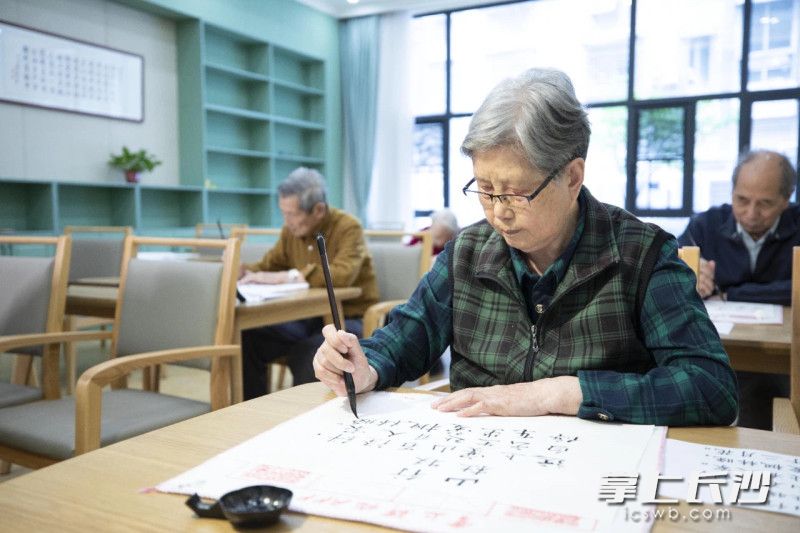 在长沙，老年人的生活正精彩。 均为市民政局供图