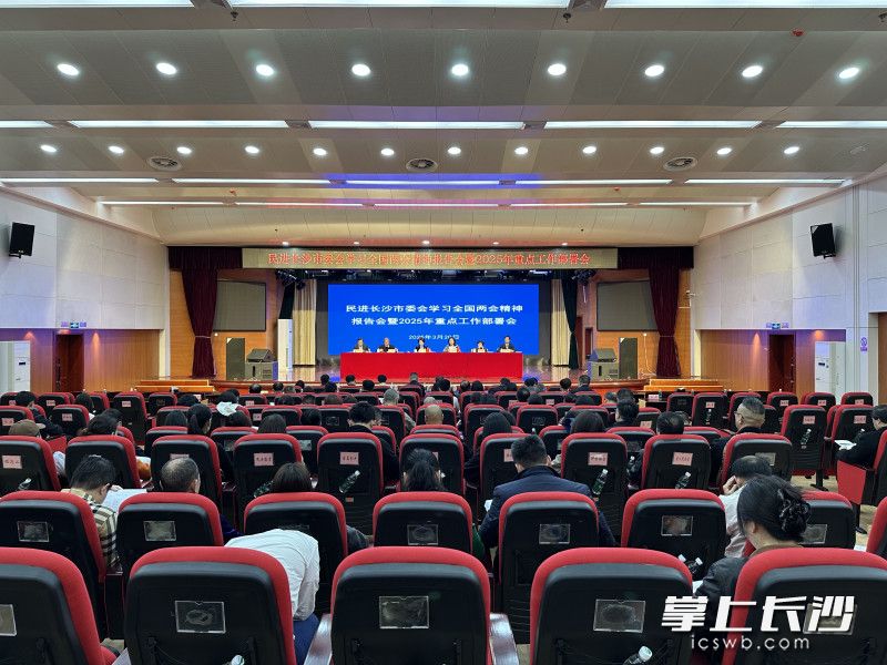 民进长沙市委会召开学习全国两会精神报告会暨2025年重点工作部署会。 长沙晚报通讯员 刘晨思 摄
