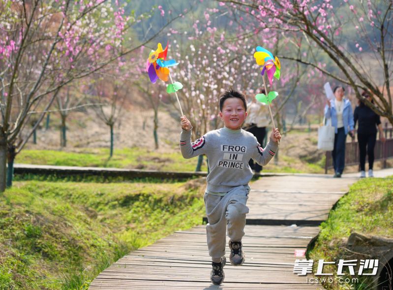 赏桃观景，奔跑在春天里。