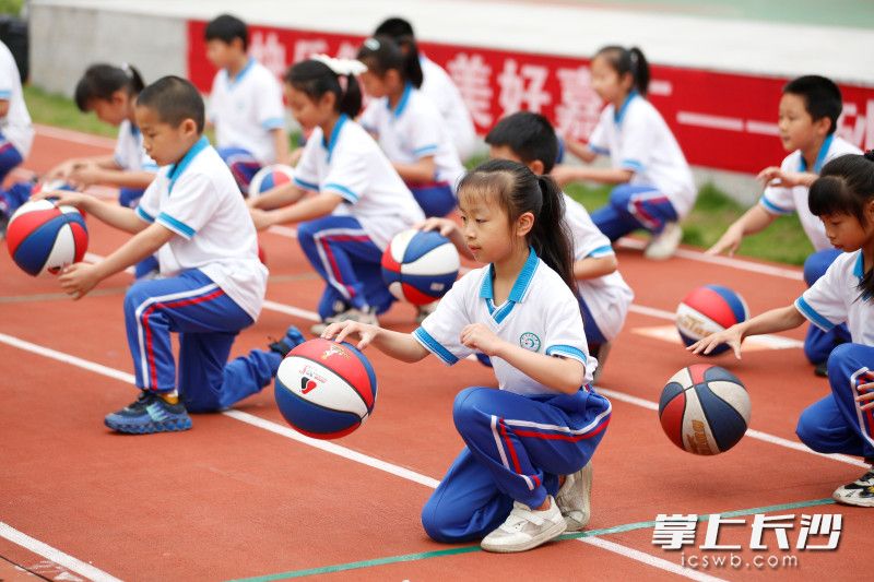 2023年砂子塘嘉汇小学篮球文化节上，嘉娃们活力四射，随心运球的身影绽放自信光彩。
