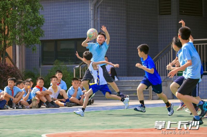 指尖篮球、华丽转身，六年级“新”少年篮球联赛中，男孩们用汗水诠释拼搏。