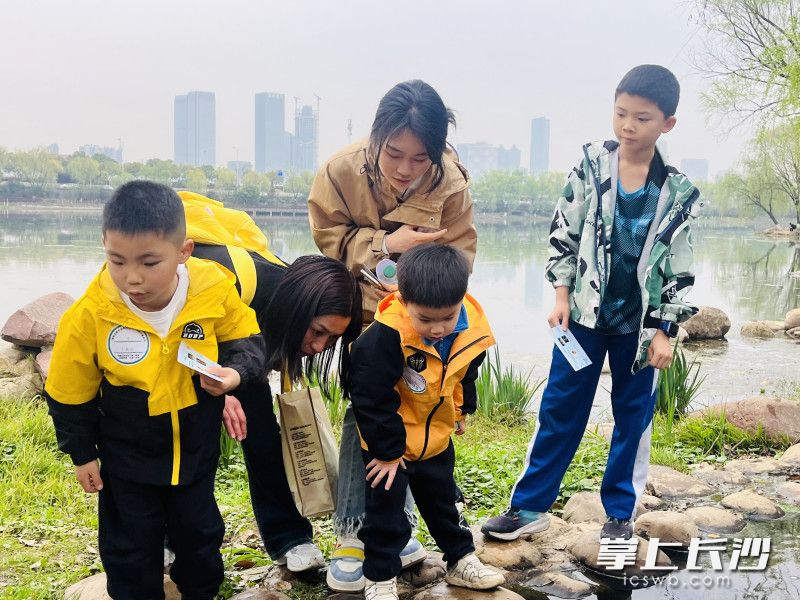桃子湖畔，孩子们当起“生态小卫士”。