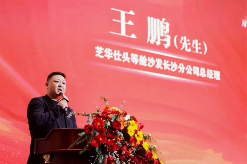 王鹏发言