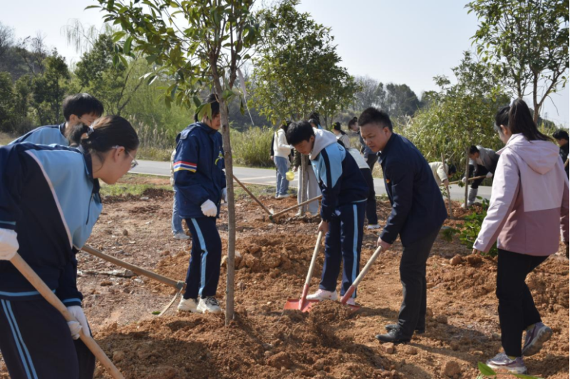 活动已在绿心常态化开展三年。