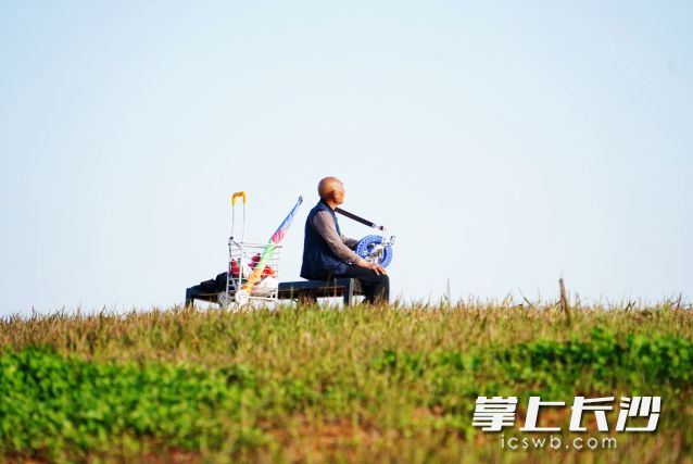 一位老者在公园里专注地放着风筝。