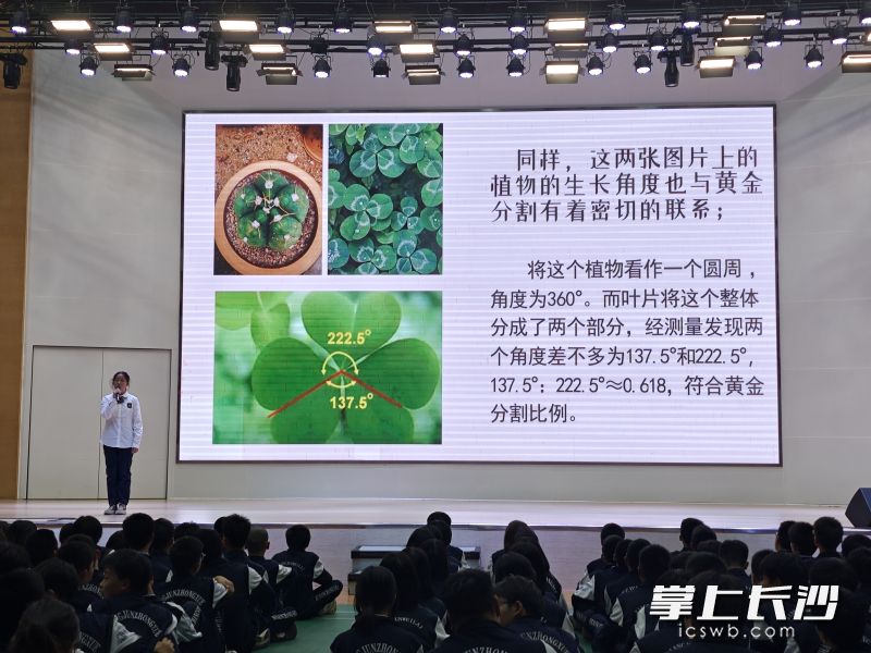 分享课题研究过程。