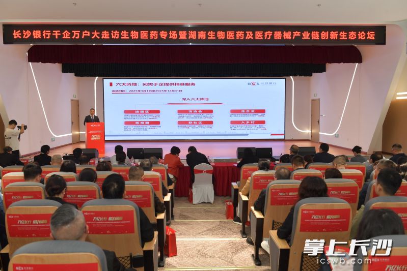 活动现场。长沙晚报全媒体记者 王志伟 摄