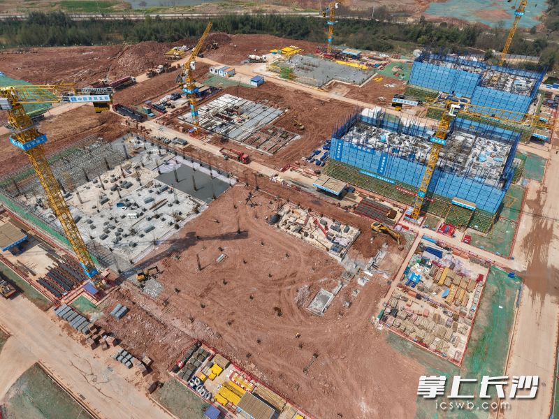 湖南大学科创港校区项目桩基工程完工。 均为长沙晚报通讯员王蕾、康佳供图