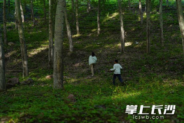 今明两日温高风大，森林火险等级较高。